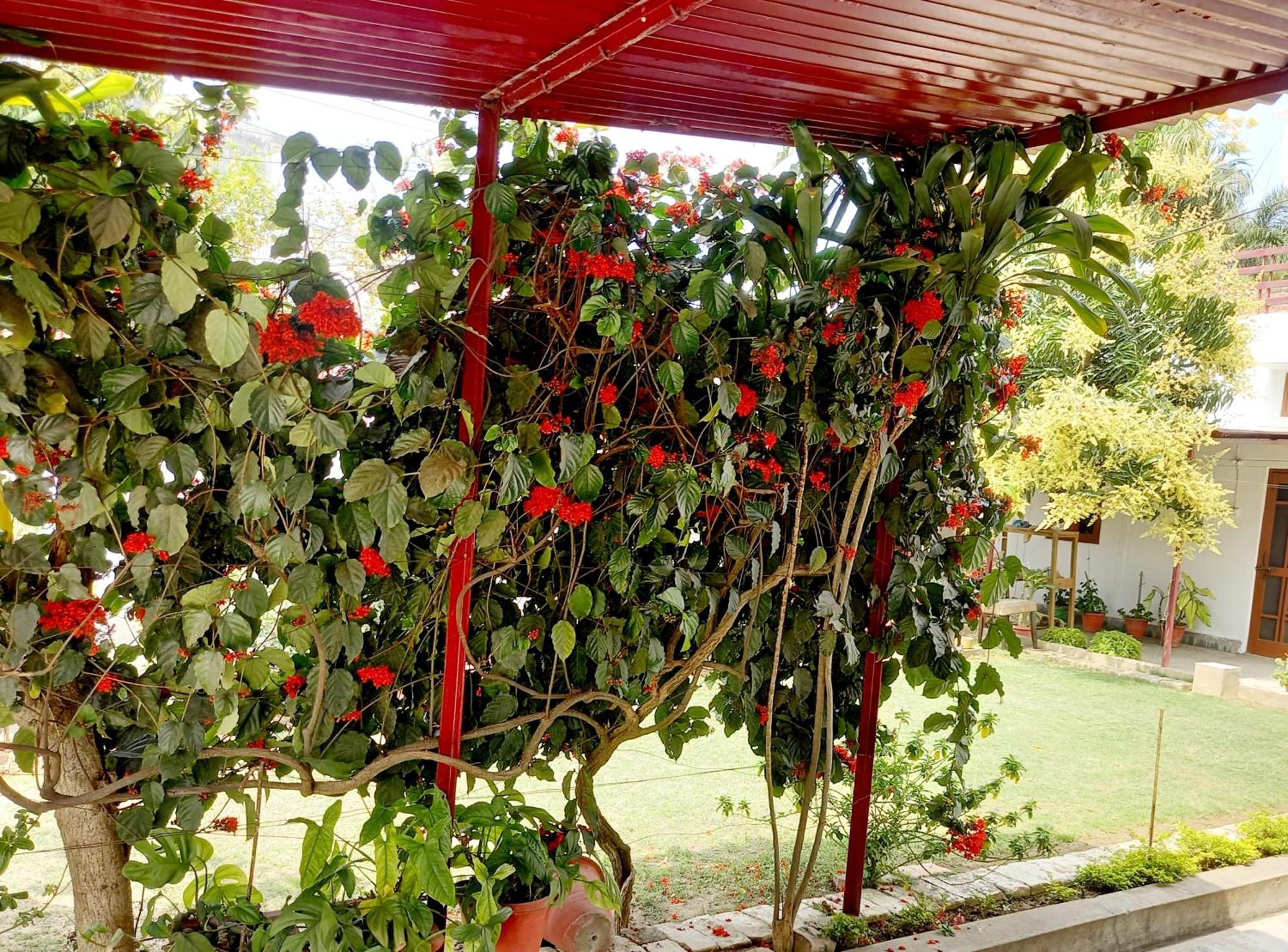 Garden View Residency Bed & Breakfast Lucknow Exterior foto